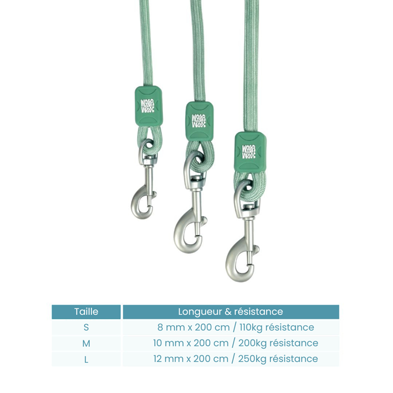 Laisse corde pour chien Matrix 2.0 (Jade, L, 2 m) - Photo 2