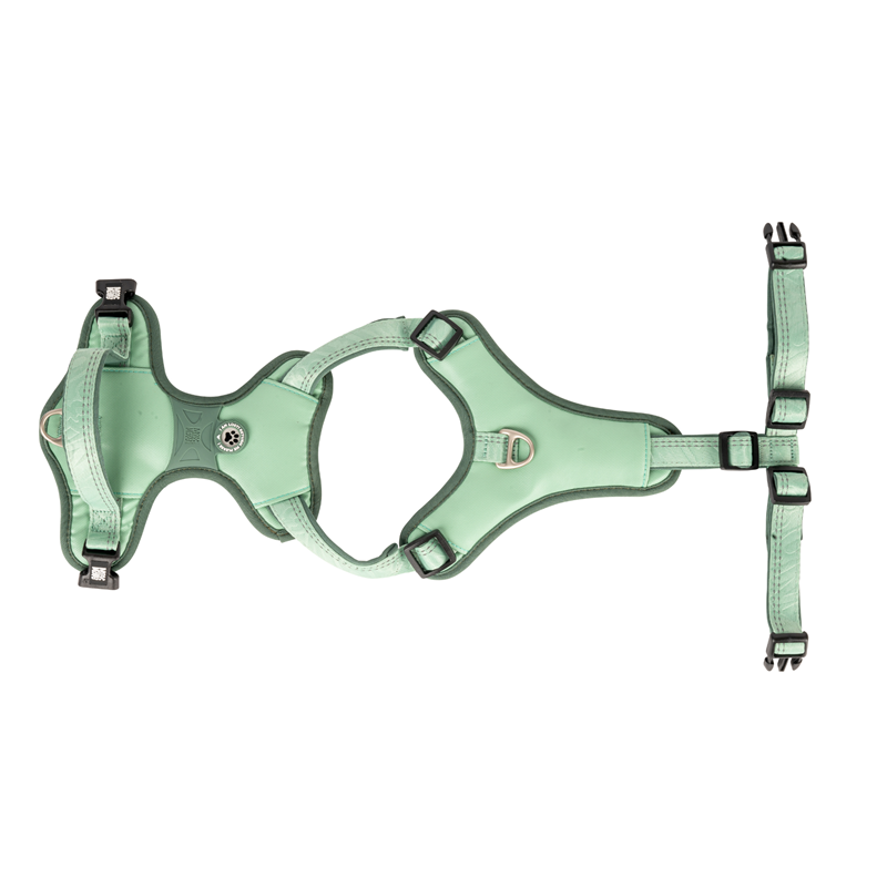 Harnais sport pour chien - Matrix 2.0 (Jade, S) - Photo 2