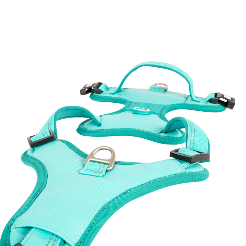 Harnais sport pour chien - Matrix 2.0 (Turquoise , S, Turquoise ) - Photo 2