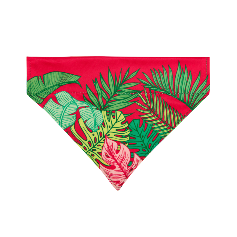 Bandana pour chien à motifs (Tropicale, S) - Photo 2