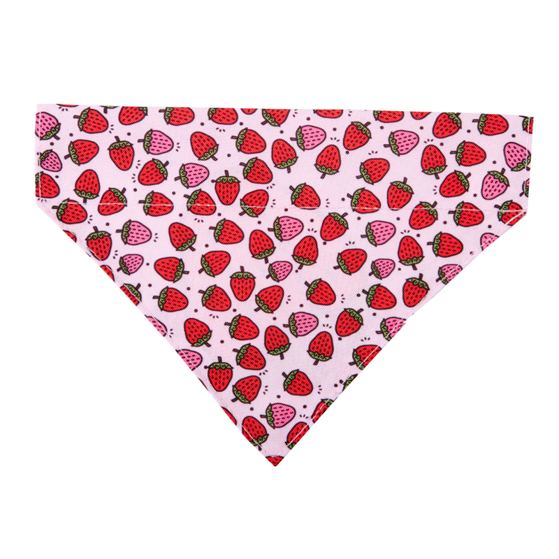 Bandana pour chien à motifs (Fraise, S) - Photo 2