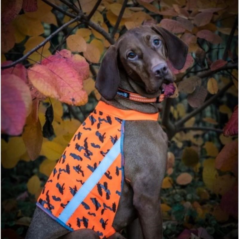 Manteau réfléchissant pour chien (XL, Camouflage) - Photo 3