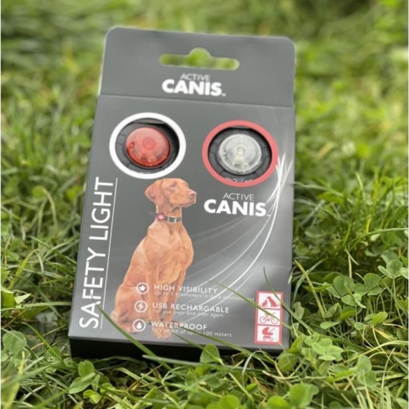 Eclairage de sécurité pour chien par 2 - Photo 9