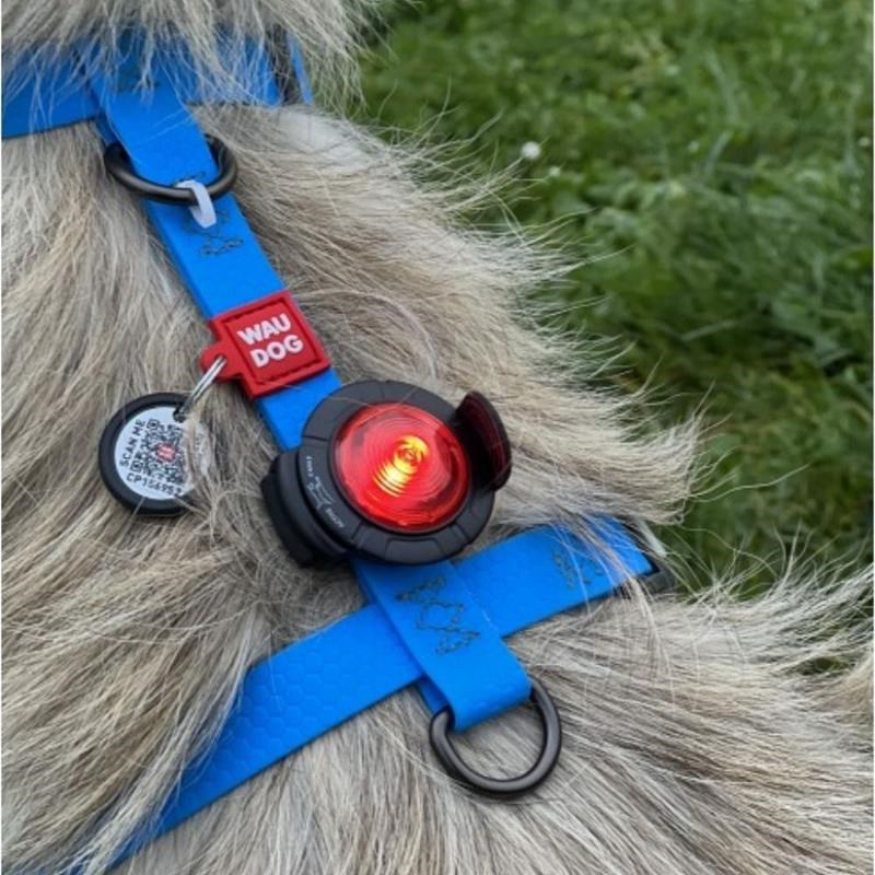 Eclairage de sécurité pour chien par 2 - Photo 5