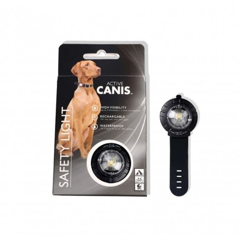 Eclairage de sécurité pour chien (Blanc) - Photo 2