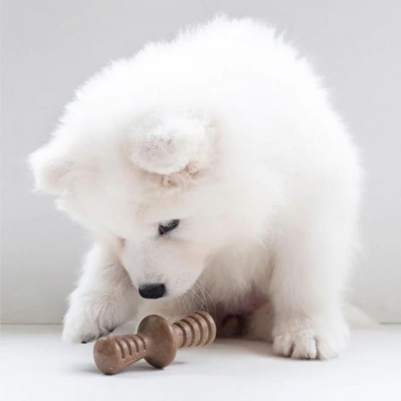 Puppy pack - Maplestick + Zaggler bacon pour chien (Bacon, Bois d'érable) - Photo 2