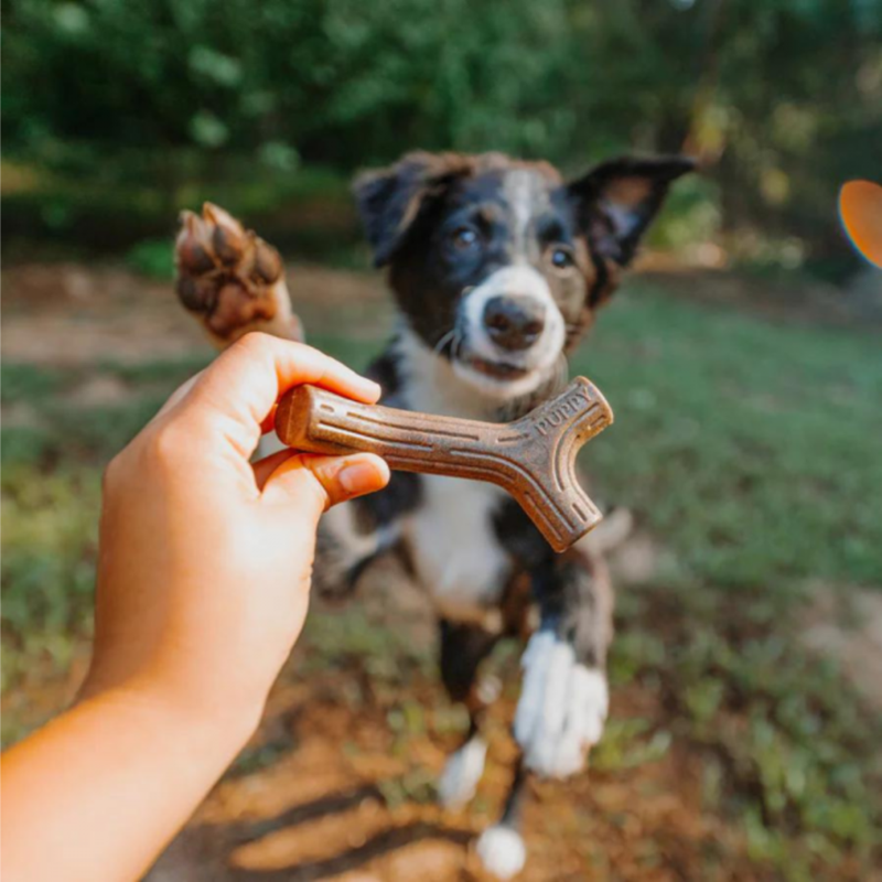Puppy pack - Maplestick + Zaggler bacon pour chien (Bacon, Bois d'érable) - Photo 5