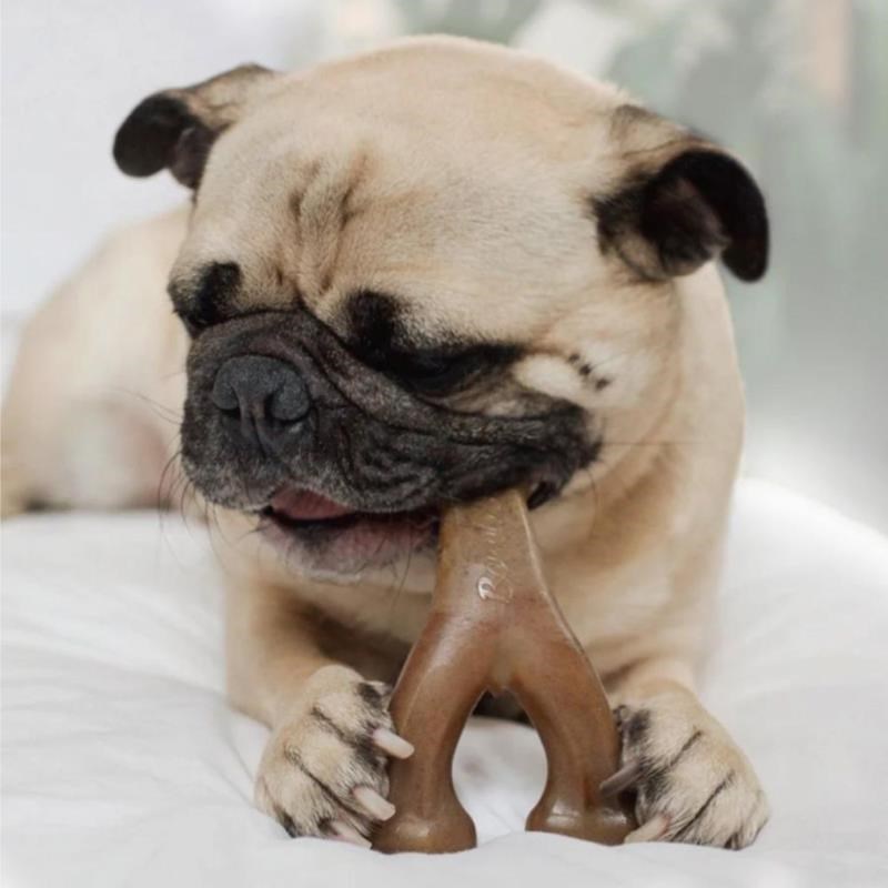Wishbone poulet pour chien (L, Poulet) - Photo 2