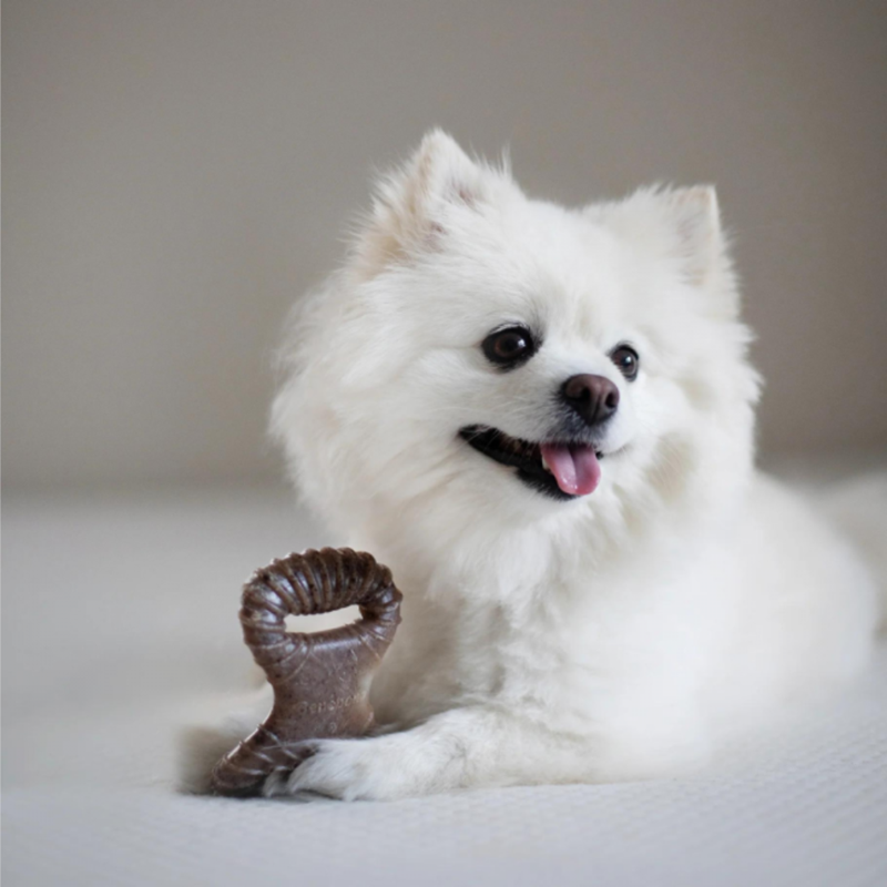 Dental chew bacon pour chien (M, Bacon) - Photo 3