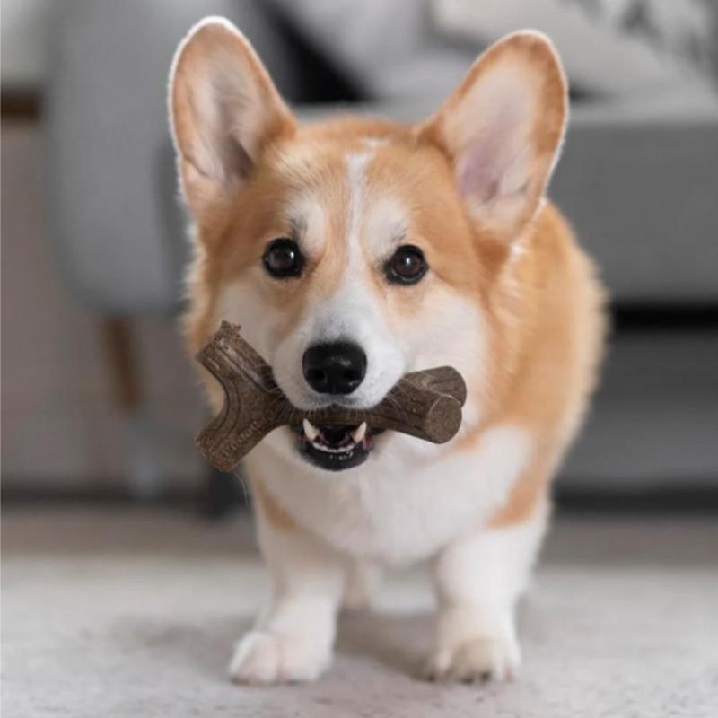 Maplestick bois d'érable pour chien (S, Bois d'érable) - Photo 3