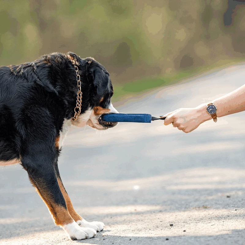 Boudin de travail pour chien (XS) - Photo 2