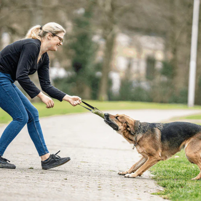 Boudin de travail pour chien (S) - Photo 3