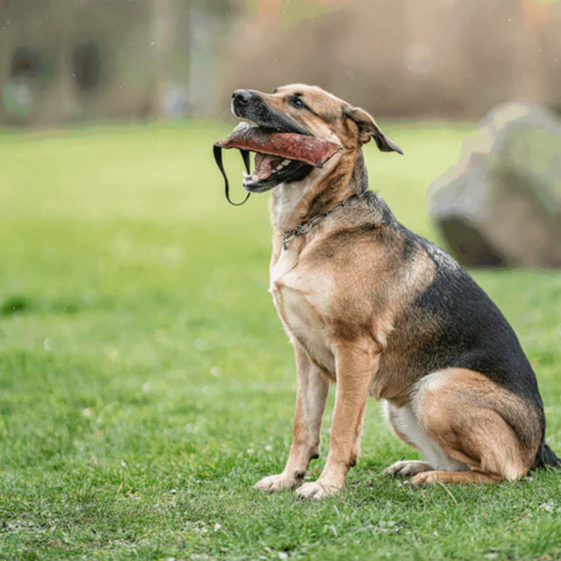 Boudin de travail pour chien (M) - Photo 2
