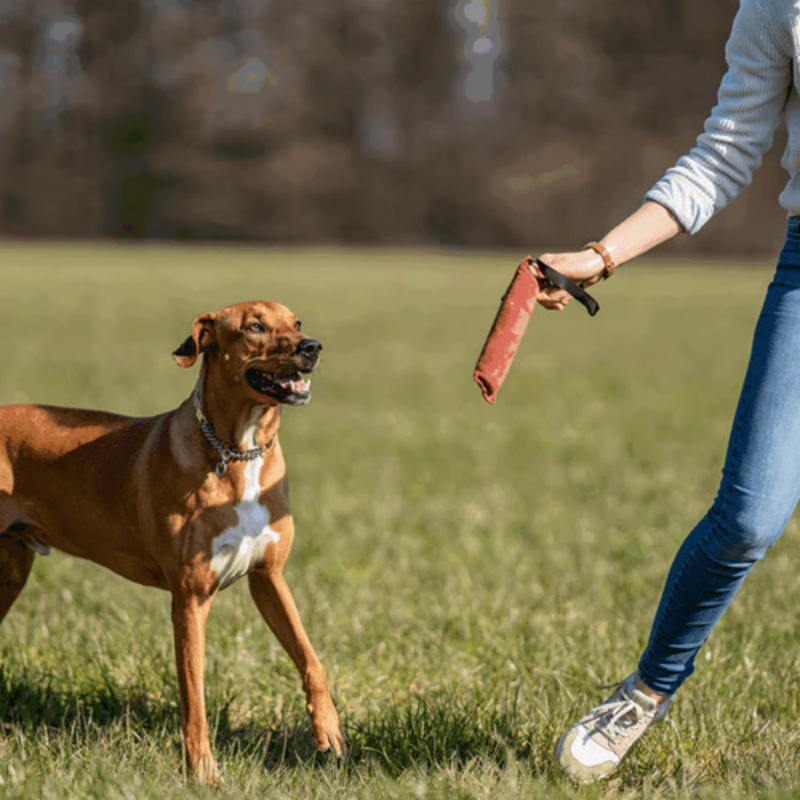 Boudin de travail pour chien (M) - Photo 3