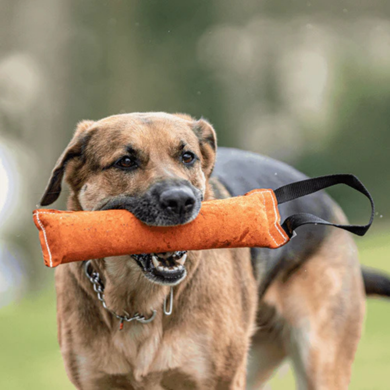 Boudin de travail pour chien (L) - Photo 2