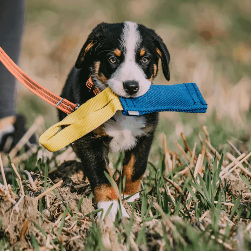 Boudin de travail pour chien (XS) - Photo 2