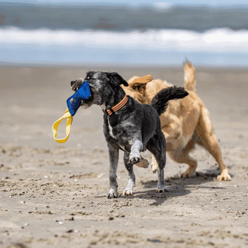 Boudin de travail pour chien (XS) - Photo 3