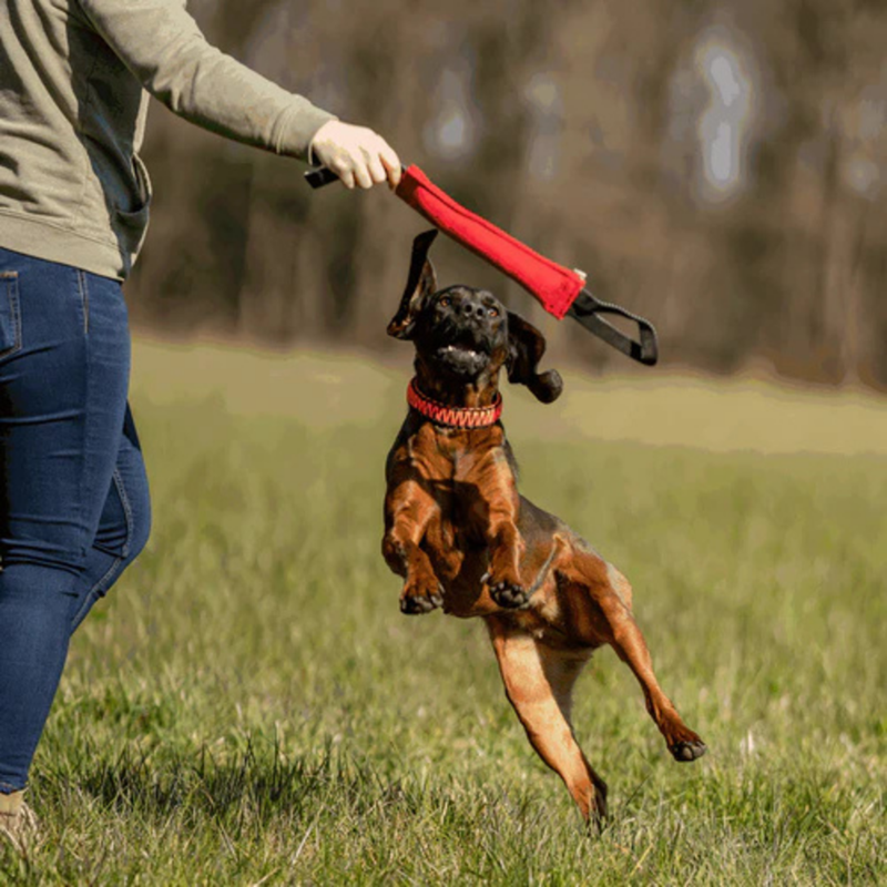 Boudin de travail pour chien (S) - Photo 2