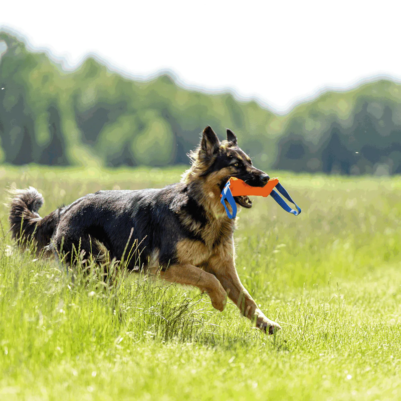 Boudin de travail pour chien (M) - Photo 2