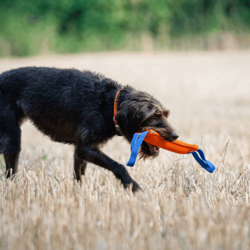 Boudin de travail pour chien (M) - Photo 3