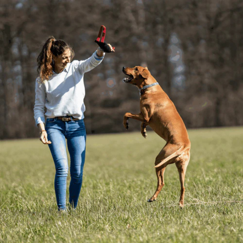 Boudin de travail pour chien (L) - Photo 2