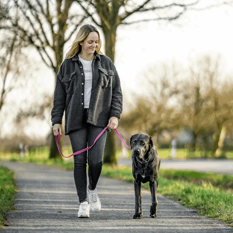 Laisse pour chien antidérapante (Rose, 2 m) - Photo 2
