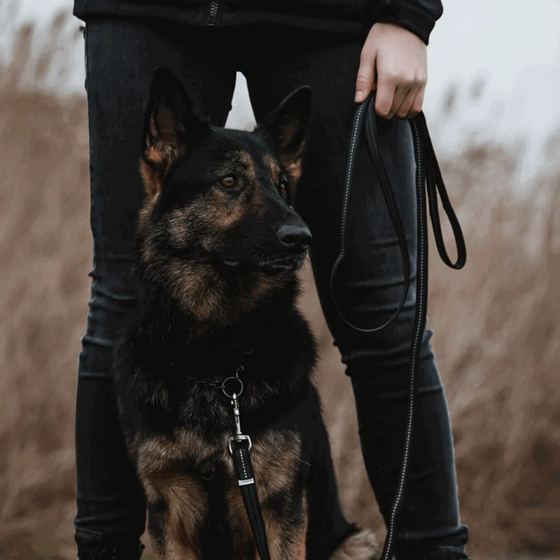 Laisse pour chien antidérapante (Noir, 2 m) - Photo 2