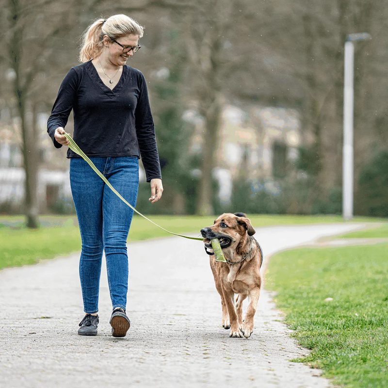Laisse pour chien antidérapante (Jaune, 2 m) - Photo 2