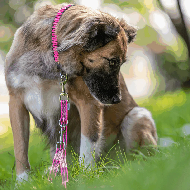 Laisse pour chien antidérapante 3 positions (Rose, 2,3 m) - Photo 2