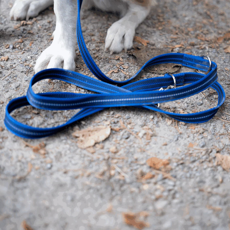 Laisse pour chien antidérapante 3 positions (Bleu, 2,3 m) - Photo 2