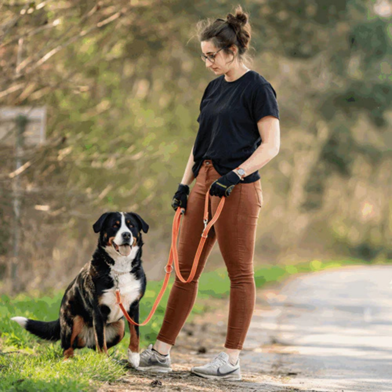 Laisse pour chien antidérapante 3 positions (Orange, 2,3 m) - Photo 2