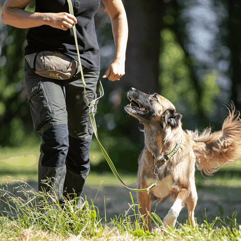 Laisse pour chien antidérapante 3 positions (Jaune, 2,3 m) - Photo 2