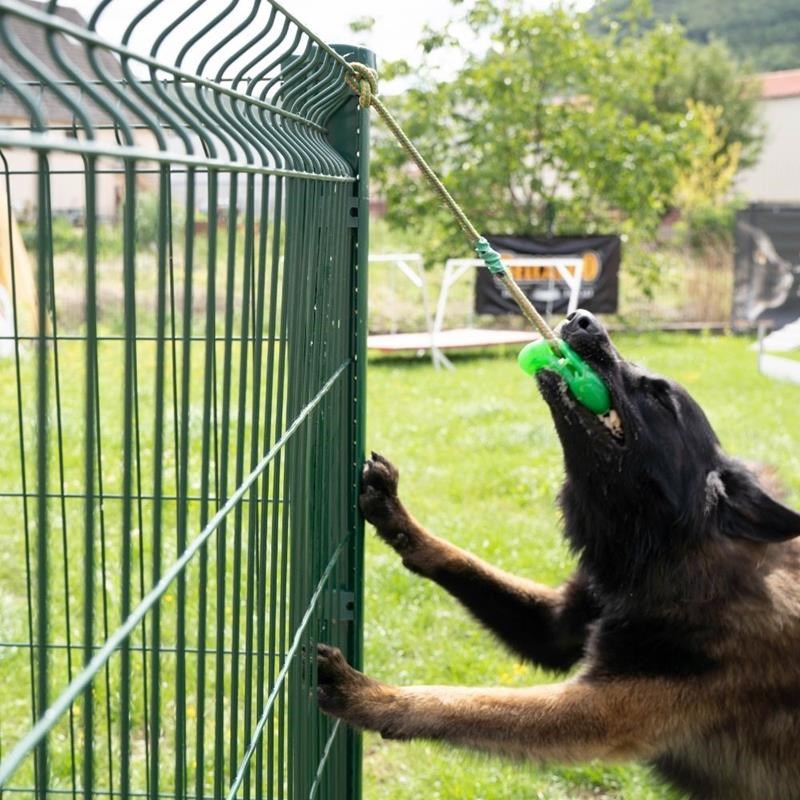 Chew-ball avec corde pour chien (9 cm) - Photo 4