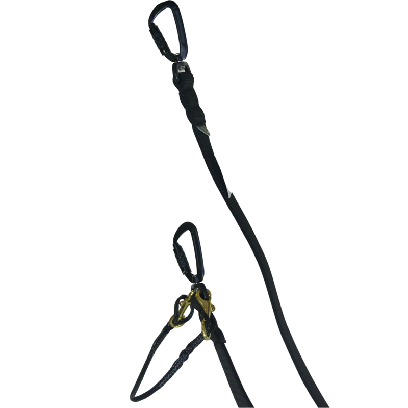 Tendeur canicross pour grand chien - Noir et plat (2.5 m) - Photo 3