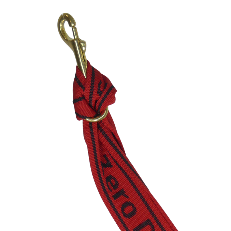 Tendeur Simple Grand chien - 1,9m - 2 mousquetons - Photo 3