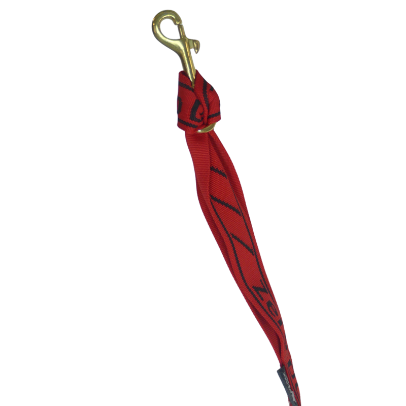 Tendeur Simple Grand chien - 2,7m - 2 mousquetons - Photo 2