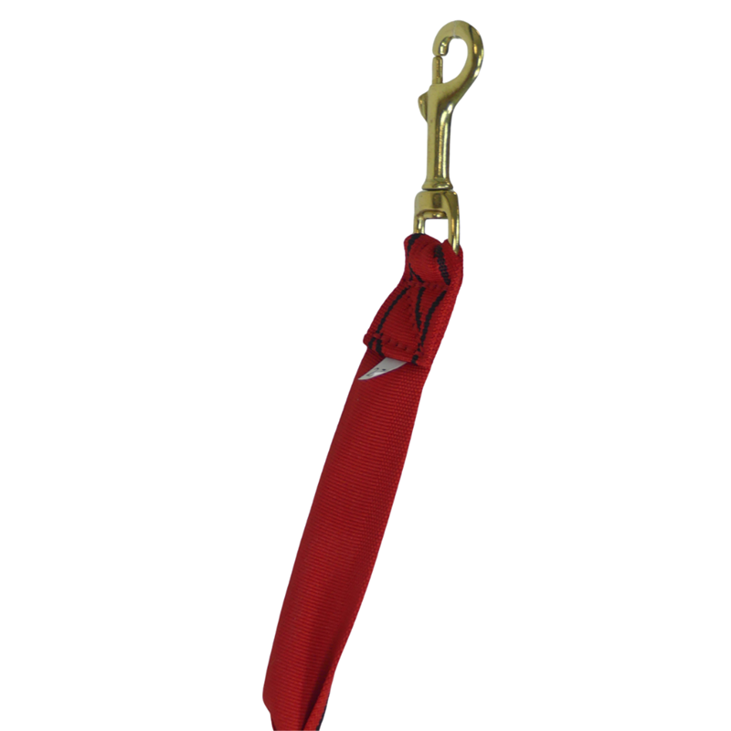 Tendeur Simple Grand chien - 2,7m - 2 mousquetons - Photo 3