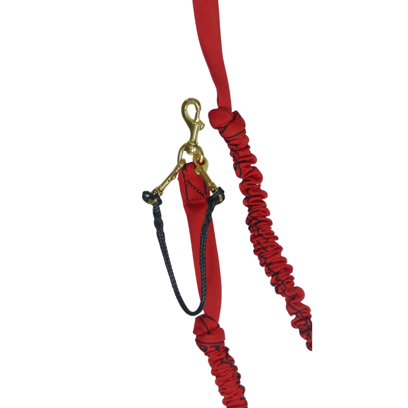 Tendeur double Grand chien - 2,5m - 3 mousquetons - Photo 4
