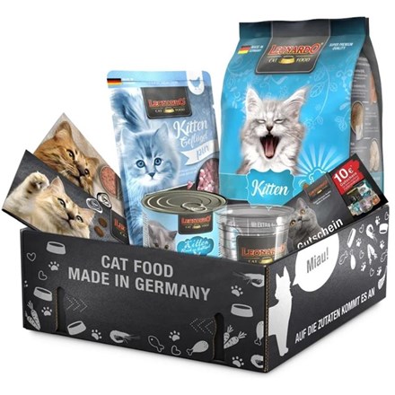 Cat Box découverte - Kitten pour chaton
