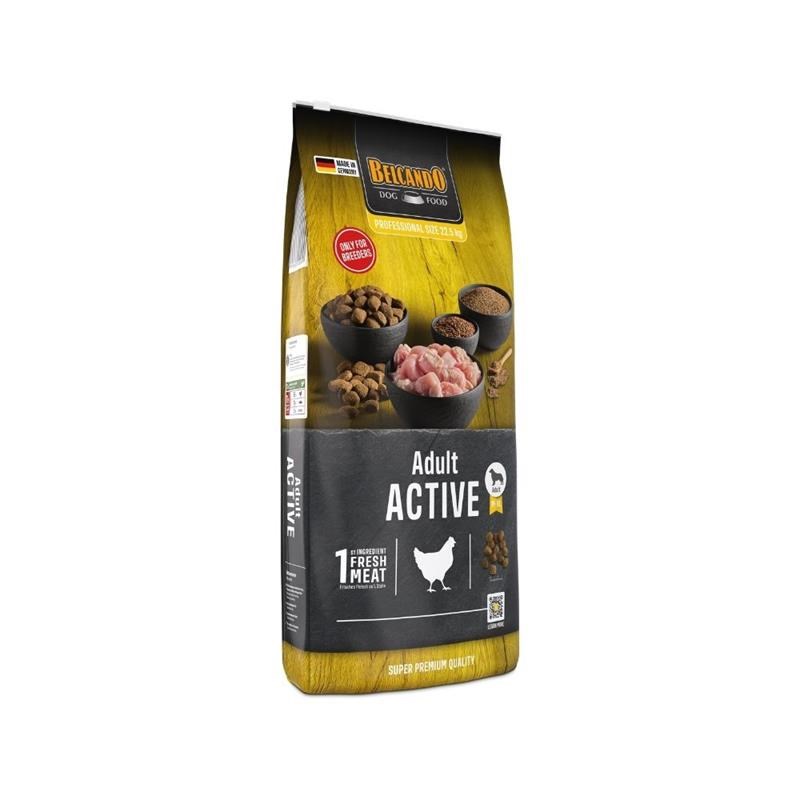 Croquettes pour chien adulte actif - Active (22,5 Kg, Poulet)
