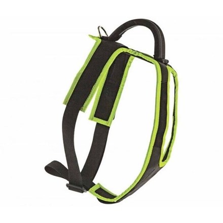 Harnais STRAP pour chiots et jeunes chiens