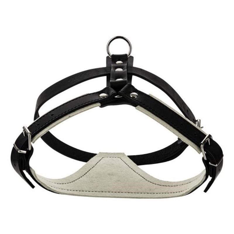 Harnais de motivation avec plastron pour chien (L)