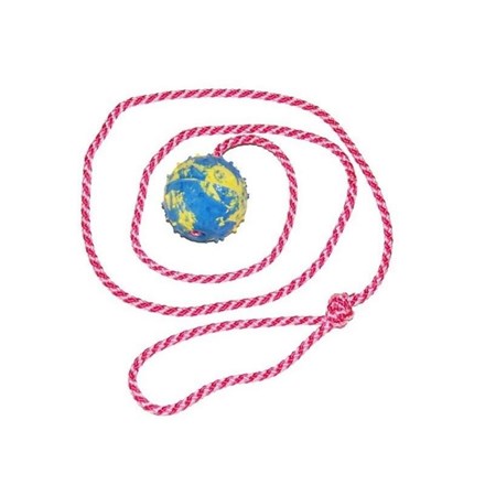 Balle en caoutchouc pour chien avec corde 6 cm - 1 m