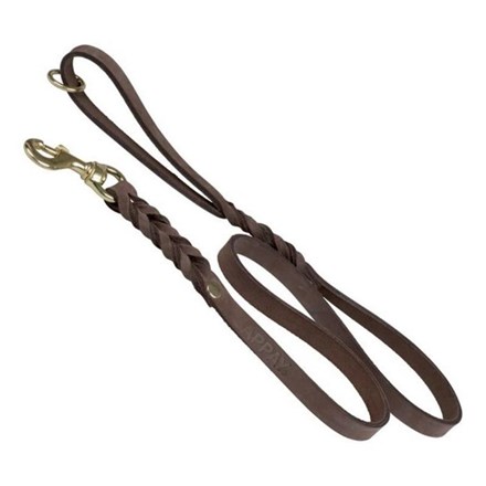 Laisse en cuir avec poignée - pour chien - 1,7 m