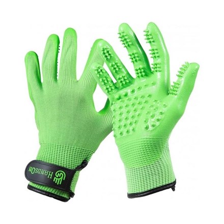Gants de Toilettage pour chien - Vert