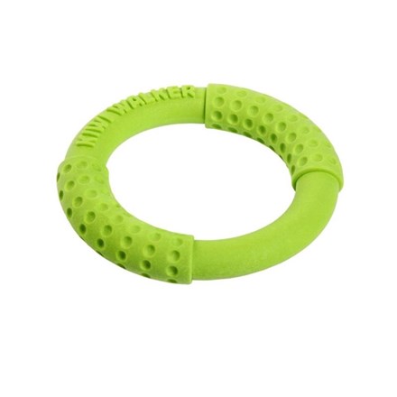 Anneau "Let's Play" pour chien - Vert