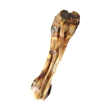 Jambe de veau pour chien - Veau