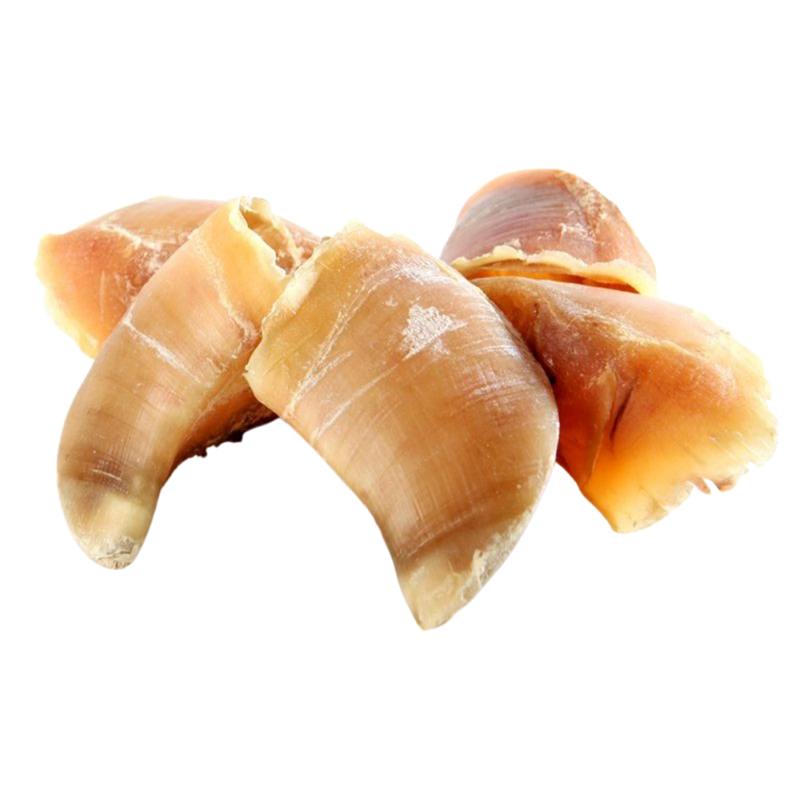 Sabot de bœuf pour chien (Boeuf)