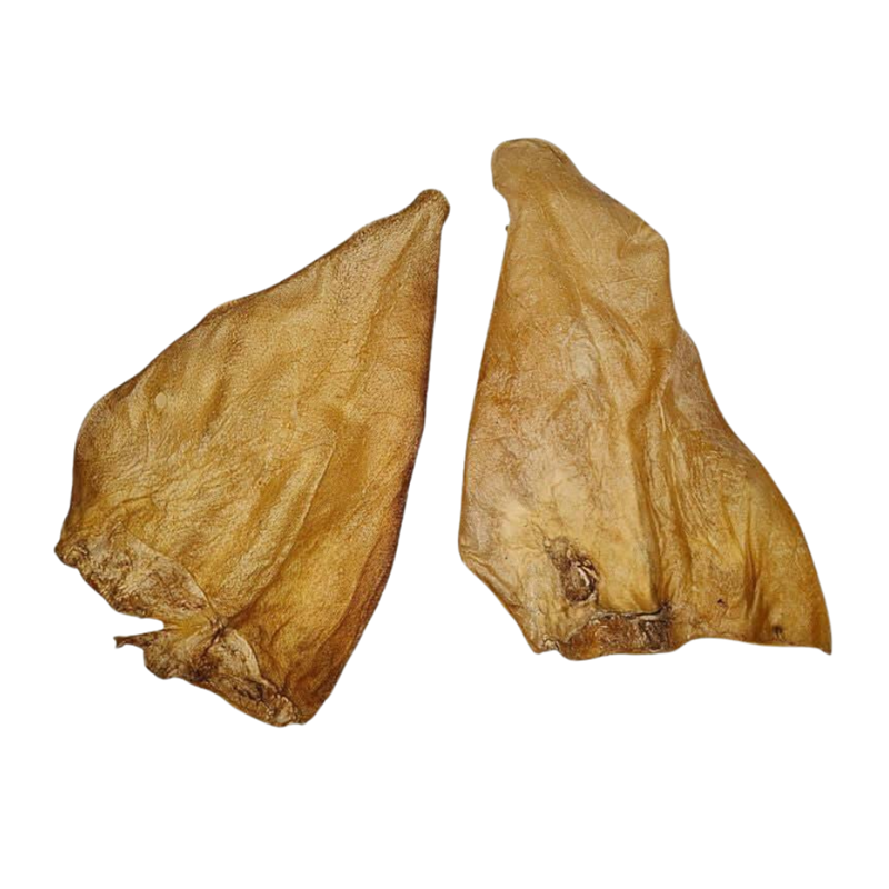 Oreille de boeuf naturelle pour chien (Boeuf)
