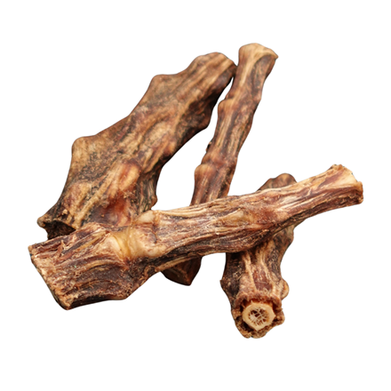 Queue de boeuf pour chien - Boeuf